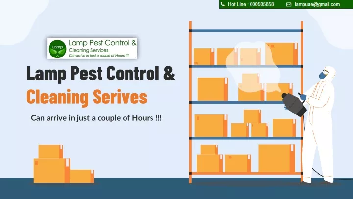 lamp pest control cleaning serives