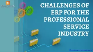 Challenges of ERP for Professional industry