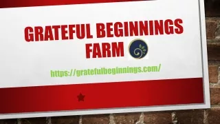 grateful beginnings farm