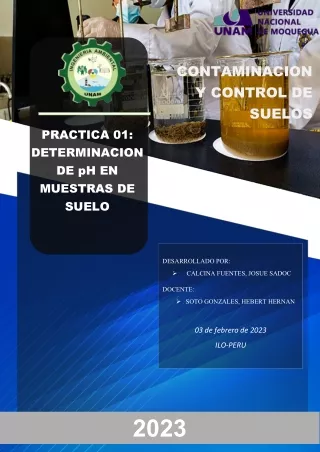 INFORME PH SUELOS CONTAMINADOS ILO/MOQUEGUA