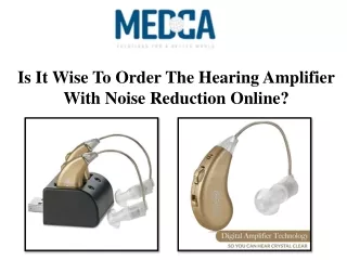 Is It Wise To Order The Hearing Amplifier With Noise Reduction Online