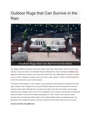 Outdoor Rugs That Can Survive In The Rain