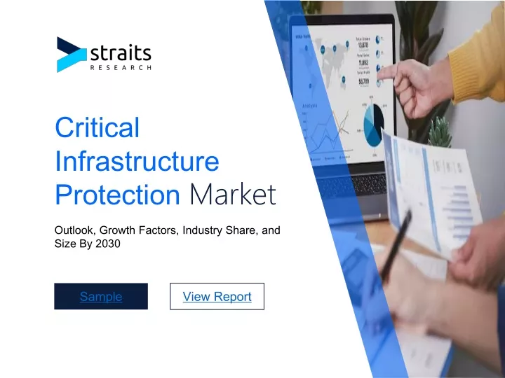 critical infrastructure protection market
