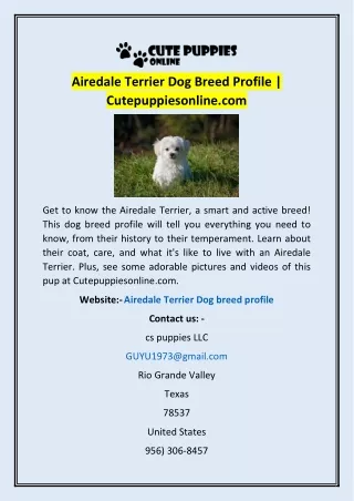 Airedale Terrier Dog Breed Profile | Cutepuppiesonline.com