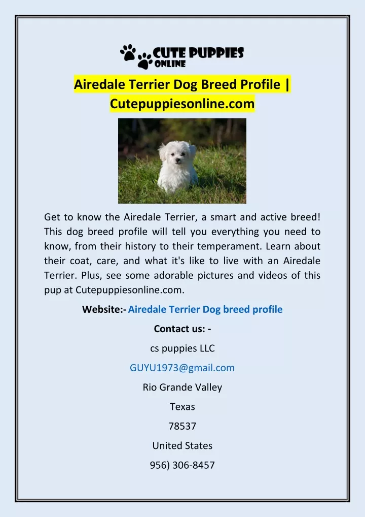 airedale terrier dog breed profile