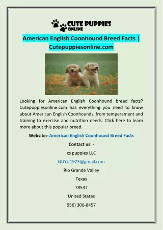 American English Coonhound Breed Facts | Cutepuppiesonline.com