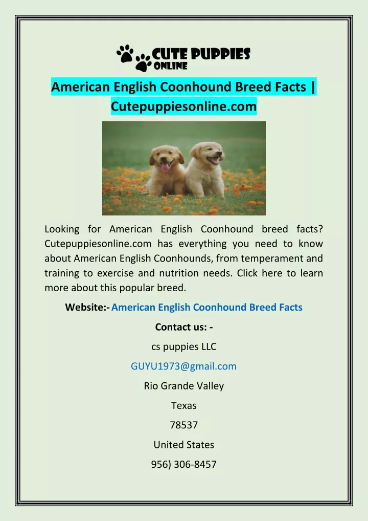 american english coonhound breed facts