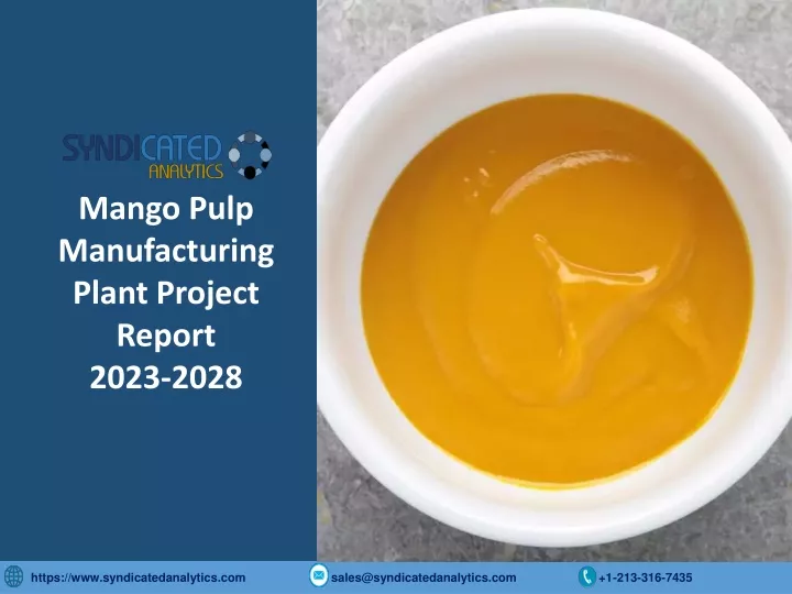 mango pulp manufacturing plant project report