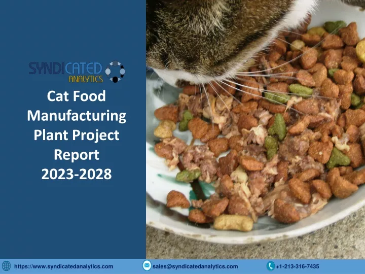 cat food manufacturing plant project report 2023