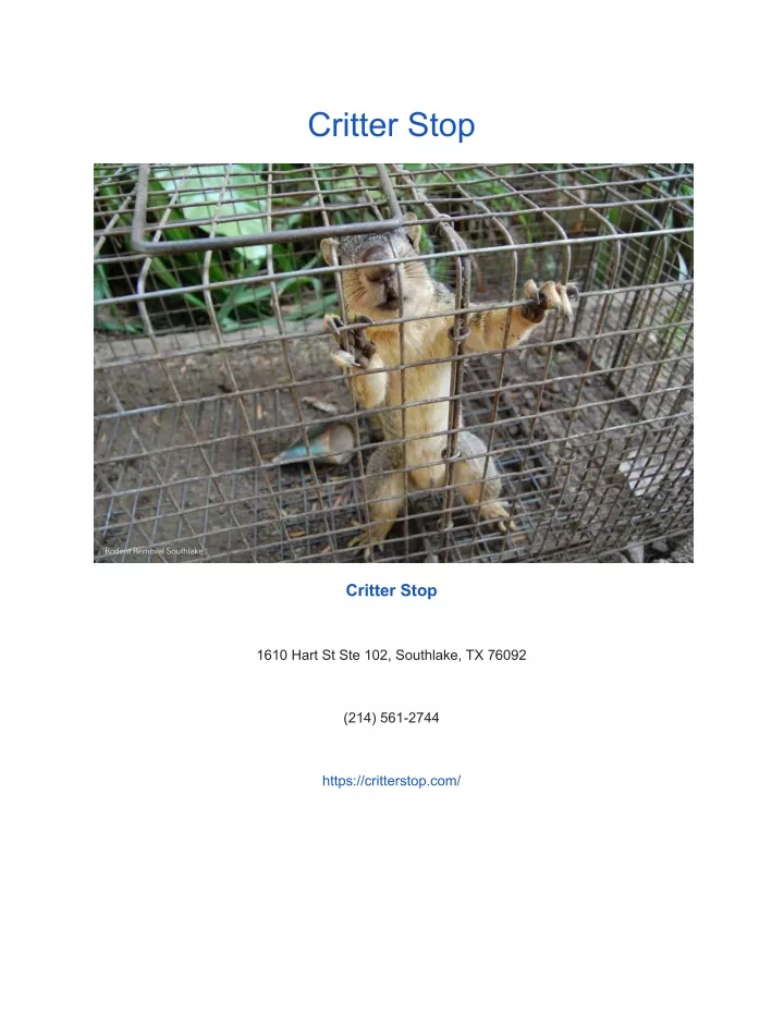 critter stop