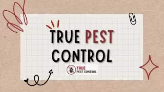 Pest Control Geelong | True Pest Control