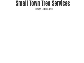 Small Town Tree Services