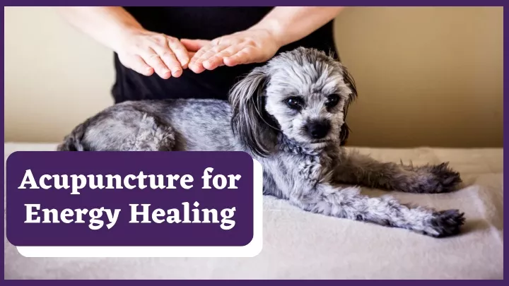 acupuncture for energy healing