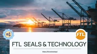 Bespoke Seals Solutions