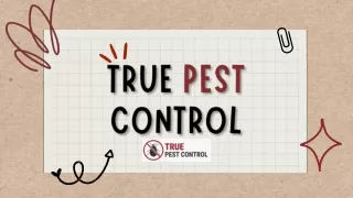 Pest Control Geelong