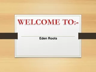 welcome to