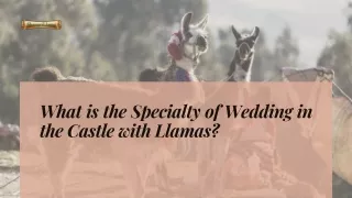 What is the Specialty of Wedding in the Castle with Llamas
