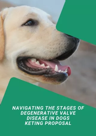 pdf-Navigating the Stages Of Degenerative Valve Disease In Dogs