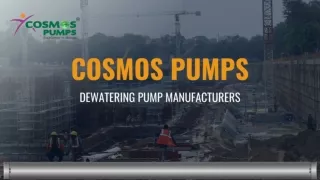 Dewatering Pump Manufacturers