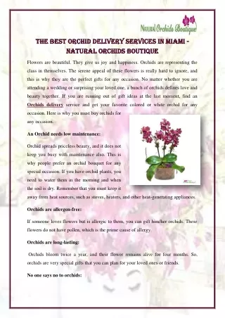 The Best Orchid Delivery Services in Miami - Natural Orchids Boutique