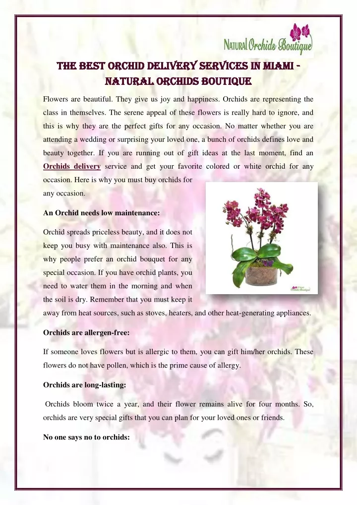 the best orchid delivery services in miami