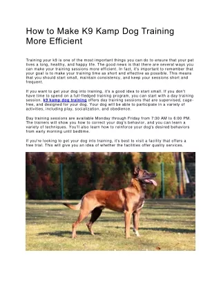 How to Make K9 Kamp Dog Training More Efficient
