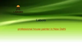 Professional House Painter in New Delhi | Laborotech.in