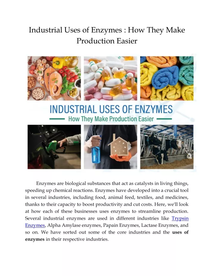 industrial uses of enzymes how they make