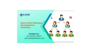 Matrix MLM Software | MLM Software Company in Delhi NCR
