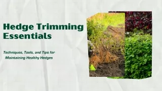 hedge trimming essentials