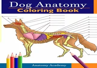 PDF Dog Anatomy Coloring Book: Incredibly Detailed Self-Test Canine Anatomy Colo
