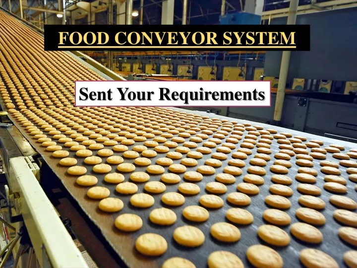 food conveyor system