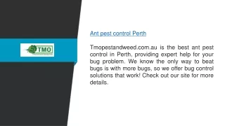 Ant Pest Control Perth  Tmopestandweed.com.au