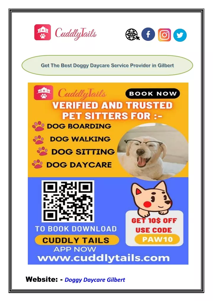 website doggy daycare gilbert