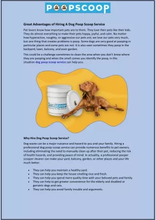 great advantages of hiring a dog poop scoop