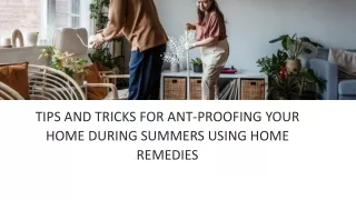 tips and tricks for ant proofing your home during