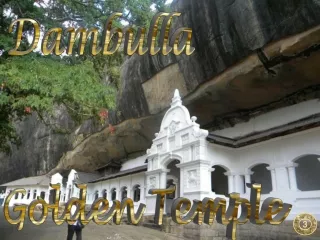 dambulla