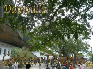 dambulla