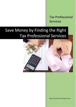 tax professional services