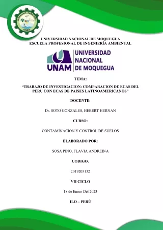 ECA PERU Y ECAS DE PAISES LATINOAMERICANOS - SOSA PINO FLAVIA