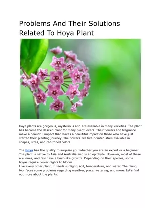 Problems And Their Solutions Related To Hoya Plant