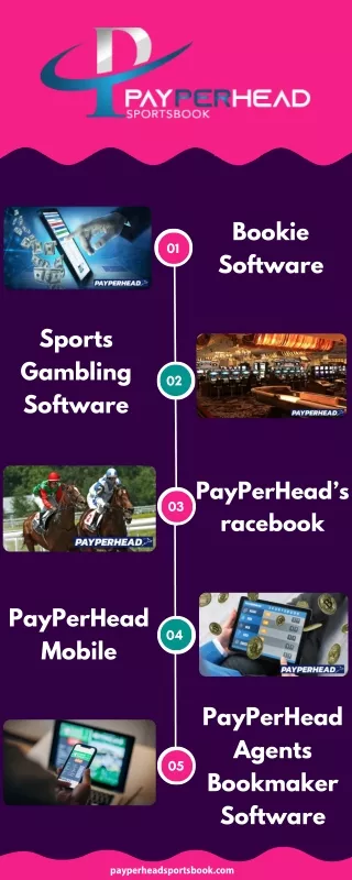 How to Build a PPH Betting Platform
