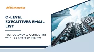 c level executives email list