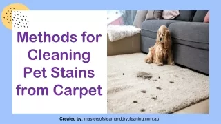 Methods for Cleaning Pet Stains from Carpet