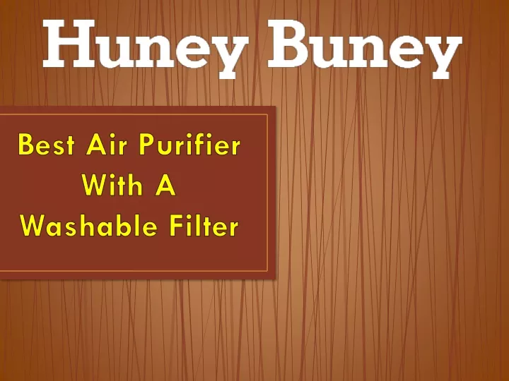 best air purifier with a washable filter