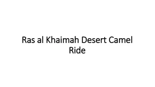 Ras al Khaimah Desert Camel Ride