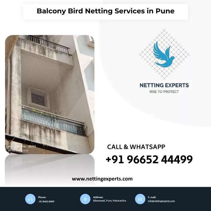 balcony bird netting services in pune