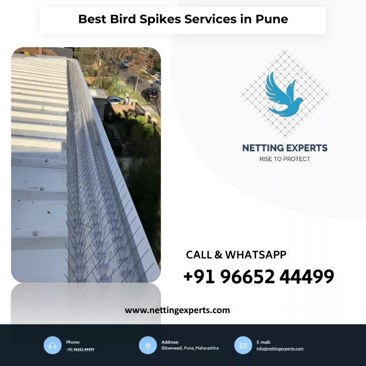 best bird spikes services in pune