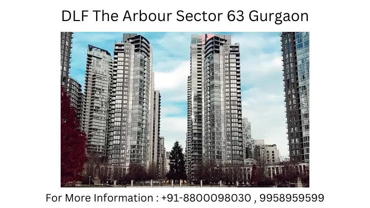 dlf the arbour sector 63 gurgaon