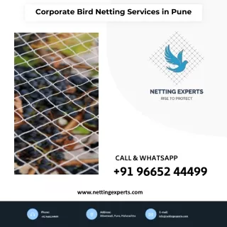 corporate bird netting services in pune